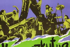 Image du film Kopaszkutya