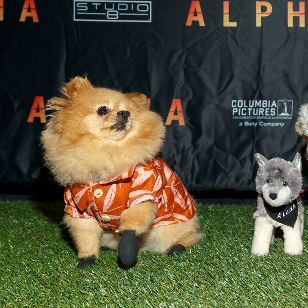 Première du film Alpha à Los Angeles