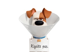 Affiche du film The Secret Life of Pets 2 Affiche du film The Secret Life of Pets 2