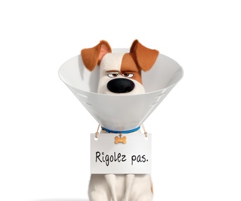 Affiche du film The Secret Life of Pets 2