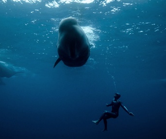 Une scène du film The Deepest Breath