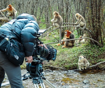 Une scène du film Born in China