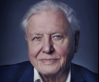 Affiche du film David Attenborough: A Life on Our Planet