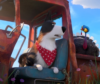 Une scène du film The Secret Life Of Pets 2