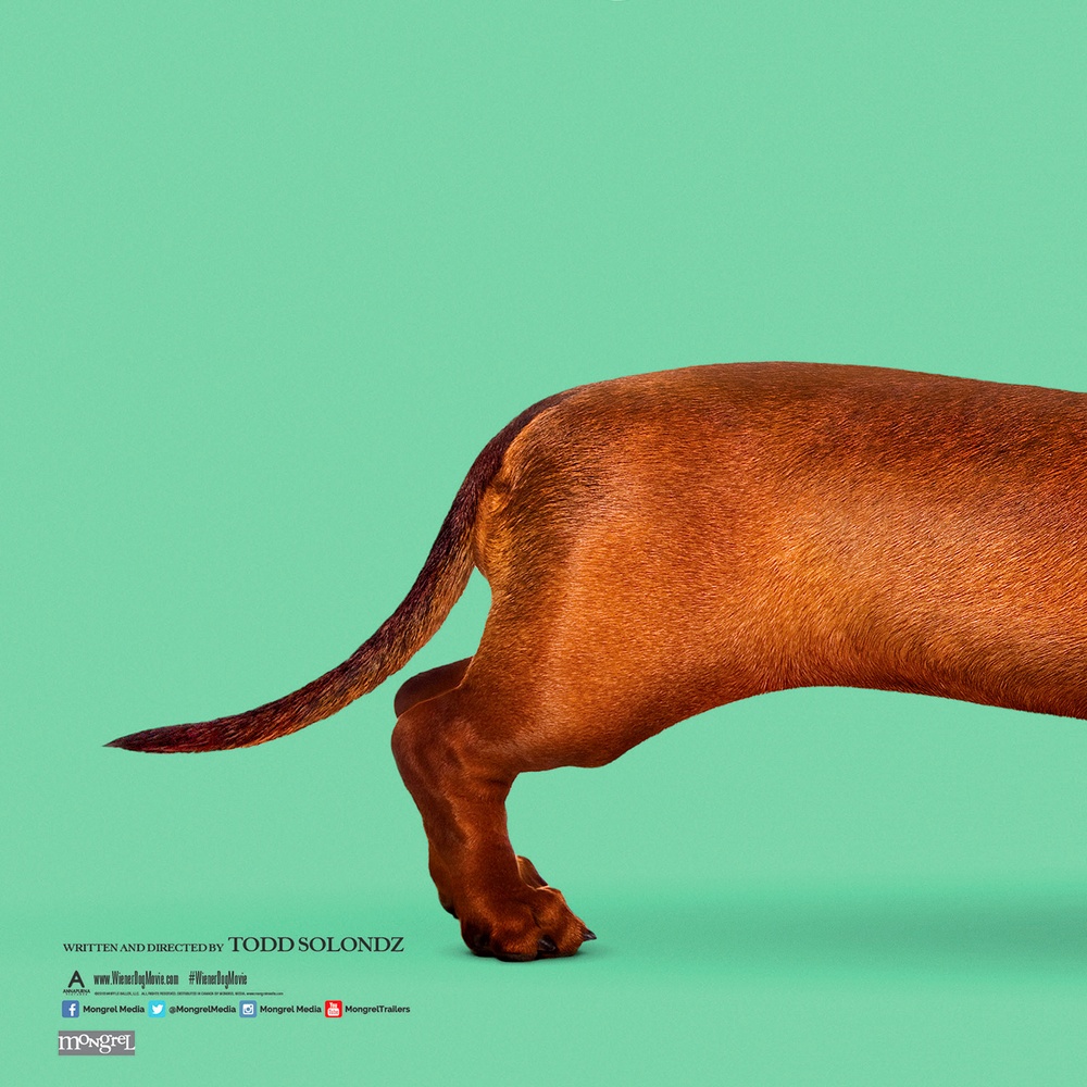 Affiche du film Wiener-Dog