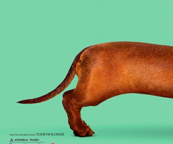Affiche du film Wiener-Dog