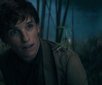 Une scène du film Fantastic Beasts: The Secrets of Dumbledore