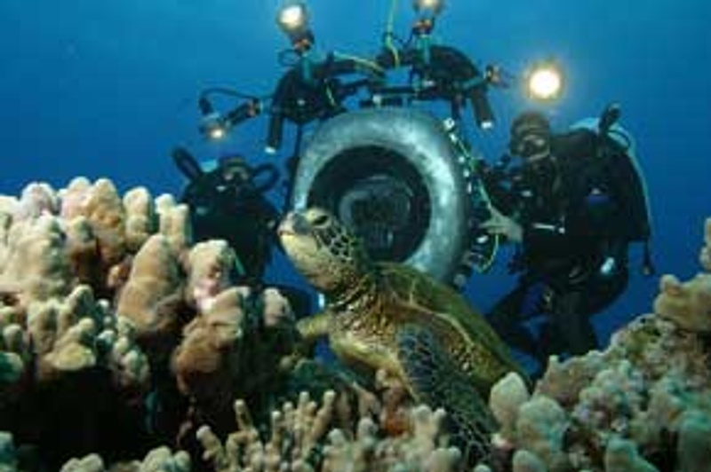 Une photo tirée de Sous les mers du monde en 3D