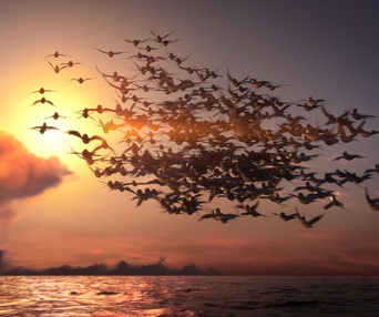 Une scène du film Manou the Swift