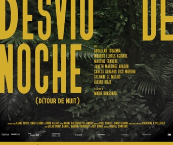 Affiche du film Desvío de noche (Détour de nuit)