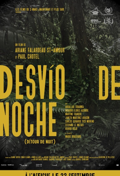 Affiche du film Desvío de noche (Détour de nuit)