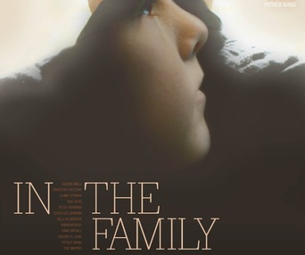 Affiche du film In the Family