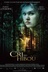 Affiche du film Le cri du hibou