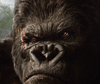 Affiche américaine du film King Kong