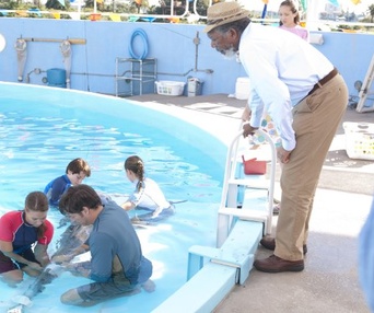 Une scène du film Dolphin Tale