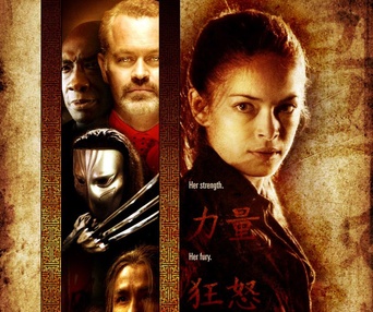 Affiche du film Street Fighter