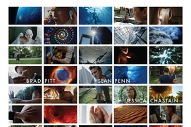 Affiche du film L'arbre de la vie