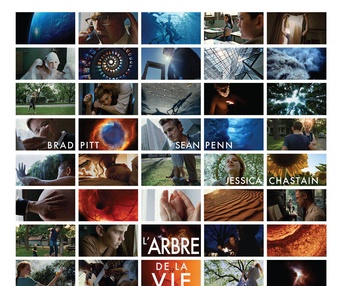 Affiche du film L'arbre de la vie