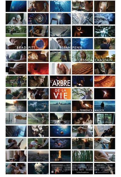 Affiche du film L'arbre de la vie