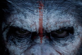 Affiche du film Dawn of the Planet of the Apes Affiche du film Dawn of the Planet of the Apes
