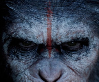 Affiche du film Dawn of the Planet of the Apes