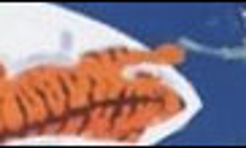 Un réalisateur pour The Life of Pi