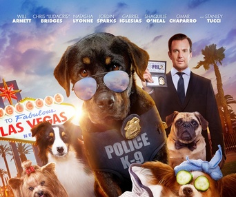 Affiche du film Show Dogs