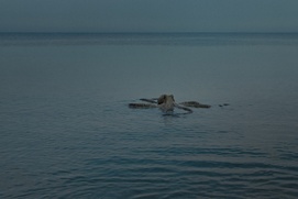 Une scène du film All You Can Eat Buddha
