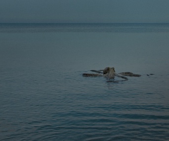 Une scène du film All You Can Eat Buddha