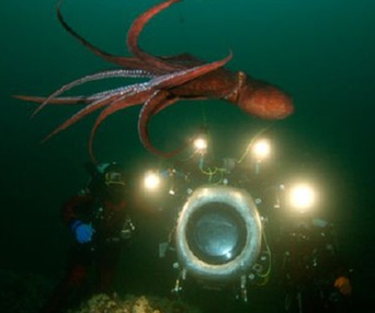 Scène du film Sous les mers du monde