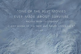 Affiche du film Arctic Affiche du film Arctic