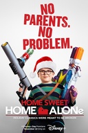 Affiche du film Maman, j'ai raté l'avion! (Ça recommence)