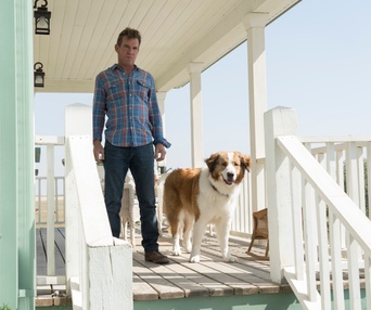 Une scène du film A Dog's Journey