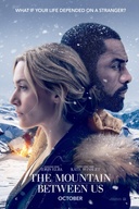 Affiche du film La montagne entre nous