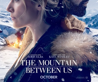Affiche du film The Mountain Between Us