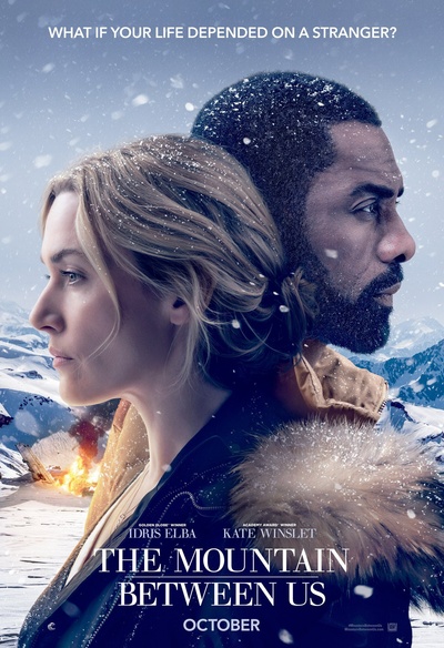 Affiche du film The Mountain Between Us
