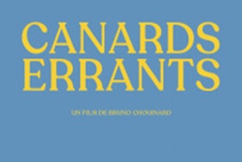 Affiche du film Canards errants