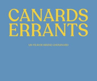 Affiche du film Canards errants