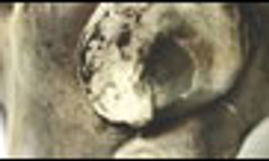 Primeur : Bande-annonce de Saw 2