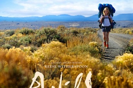 Affiche du film Wild