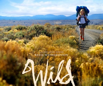 Affiche du film Wild