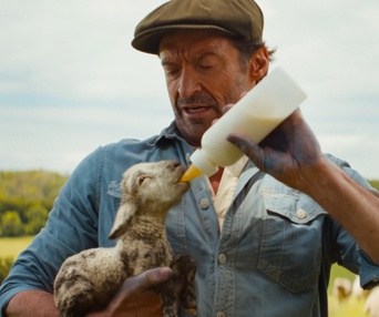 Images de The Sheep Detectives