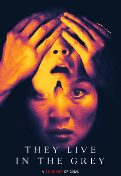 Affiche du film They Live in the Grey