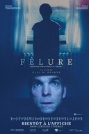 Affiche du film Fêlure