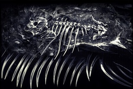 Image du film Iron Lung