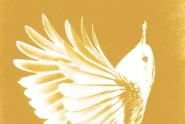 Couverture du livre Le Roitelet