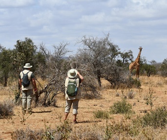 Image du film Les aventuriers voyageurs - Rêve d'Afrique