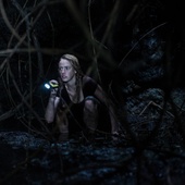 Une scène du film <em>Crawl</em>