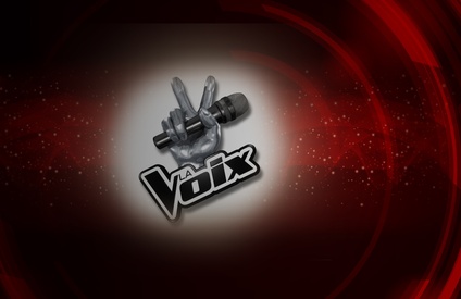 La voix : les mentors dévoilés