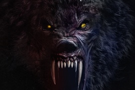Affiche du film Les loups-garous Affiche du film Les loups-garous